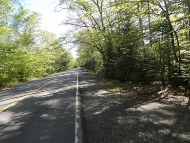 Camp on the Kennebec River Road in the unincorporated Concord - photo 21
