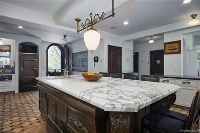 R1A zoned, R3A zoned, agriculture zone approved, infinity pool - photo 27