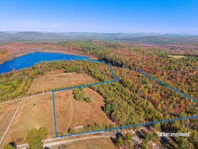 Lake Acreage For Sale in Waterford, Maine