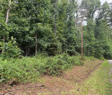 Lake Greenwood Lot For Sale in Greenwood South Carolina