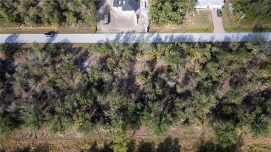 This 1/4 acre vacant lot is the perfect canvas to build your - photo 5