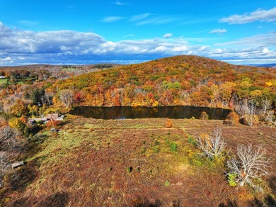 A remarkable 139-acre property located up on Skiff Mountain - photo 2