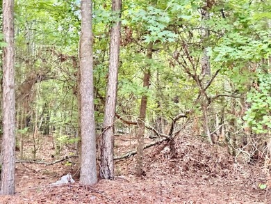 Additional listing photo 1