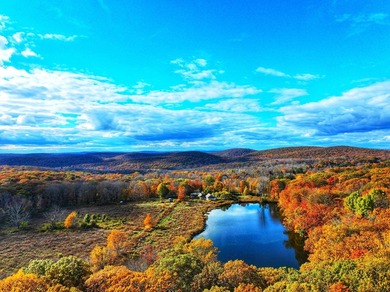 A remarkable 139-acre property located up on Skiff Mountain - photo 3