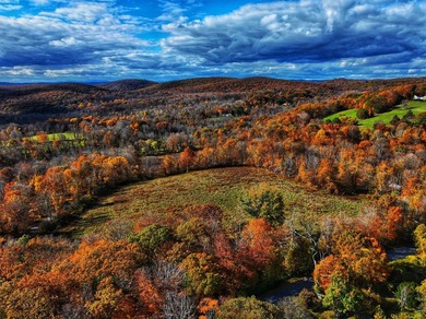 A remarkable 139-acre property located up on Skiff Mountain - photo 5