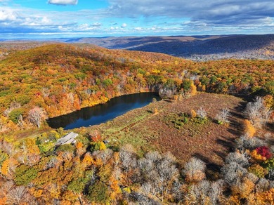 A remarkable 139-acre property located up on Skiff Mountain - photo 6