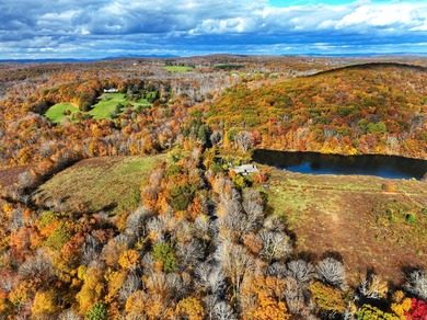 A remarkable 139-acre property located up on Skiff Mountain - photo 7