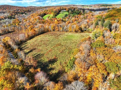 A remarkable 139-acre property located up on Skiff Mountain - photo 8