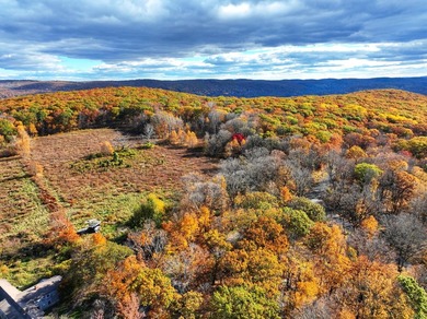 A remarkable 139-acre property located up on Skiff Mountain - photo 9
