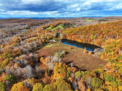 A remarkable 139-acre property located up on Skiff Mountain - photo 10