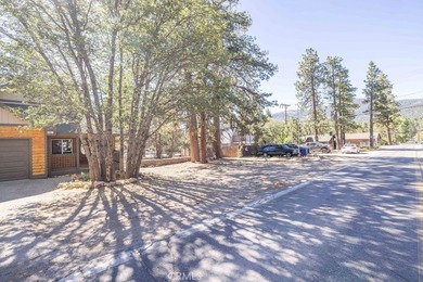 This large, treed lot has lots of potential! Located near public - photo 1