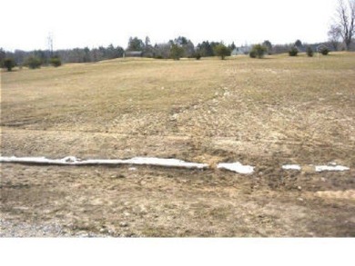 Cranberry Lake - Clare County Lot For Sale in Harrison Michigan