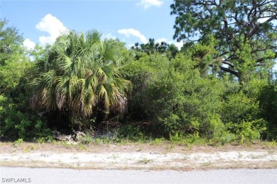 Lehigh Acres Area Lot For Sale in Alva Florida