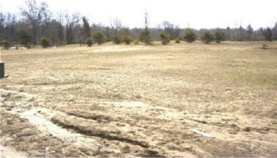 Cranberry Lake - Clare County Lot For Sale in Harrison Michigan