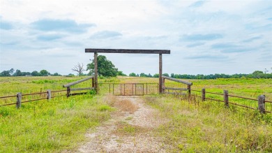 (private lake, pond, creek) Acreage For Sale in Mount Vernon Texas