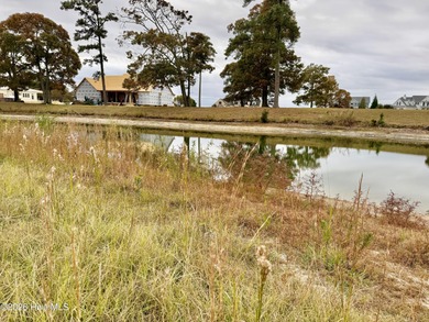 Lake front lot located on a cul-de-sac street in Edenton Bay - photo 3