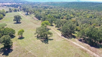 Lake Home For Sale in Oden, Arkansas