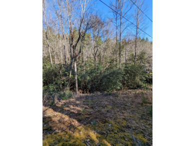 Nottley River Lot For Sale in Murphy North Carolina