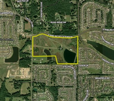 +/-86.8 acres located on Stribling Road Extension and Catlett - photo 3