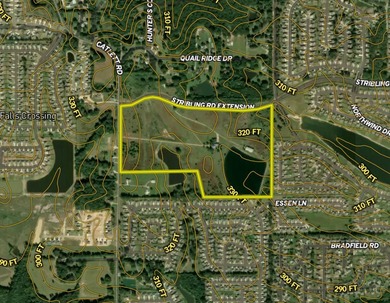 +/-86.8 acres located on Stribling Road Extension and Catlett - photo 4
