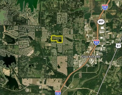 +/-86.8 acres located on Stribling Road Extension and Catlett - photo 5