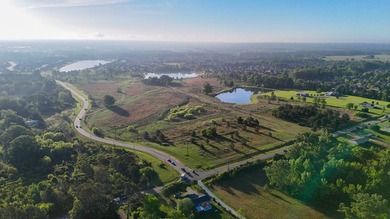 +/-86.8 acres located on Stribling Road Extension and Catlett - photo 8