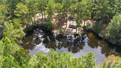 Lake Acreage For Sale in Springfield, Georgia