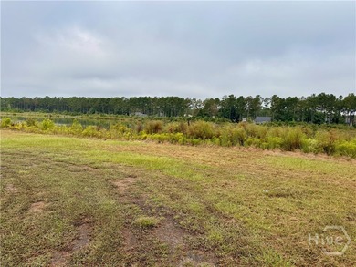 (private lake, pond, coastal) Acreage For Sale in Richmond Hill Georgia