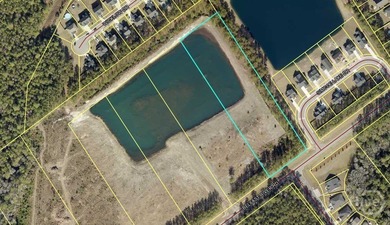 Build your dream home on this partially cleared lot - photo 4
