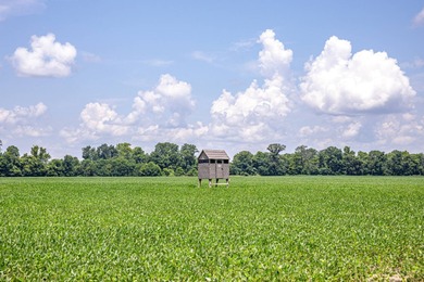 Delta Row Crop & Hunting Paradise This exceptional row crop farm - photo 15