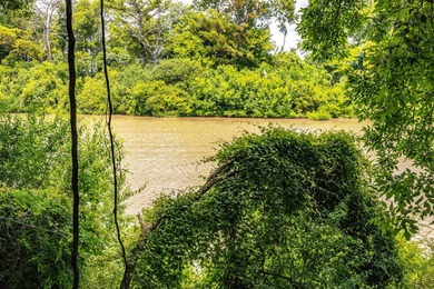 Delta Row Crop & Hunting Paradise This exceptional row crop farm - photo 16
