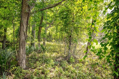 Delta Row Crop & Hunting Paradise This exceptional row crop farm - photo 17