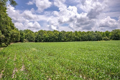 Delta Row Crop & Hunting Paradise This exceptional row crop farm - photo 18