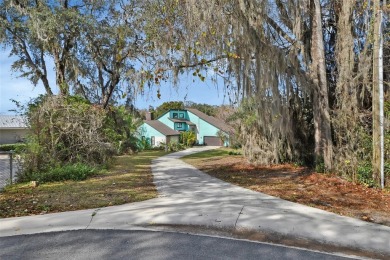 Lake Home For Sale in Belleview, Florida