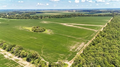 Delta Row Crop & Hunting Paradise This exceptional row crop farm - photo 27