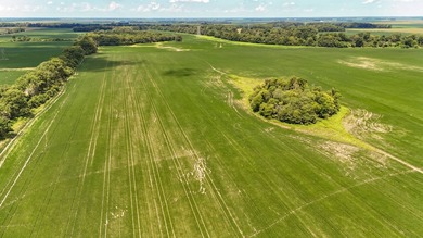 Delta Row Crop & Hunting Paradise This exceptional row crop farm - photo 28