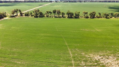 Delta Row Crop & Hunting Paradise This exceptional row crop farm - photo 29