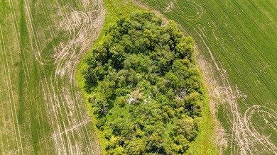 Delta Row Crop & Hunting Paradise This exceptional row crop farm - photo 30