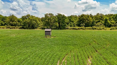 Delta Row Crop & Hunting Paradise This exceptional row crop farm - photo 31