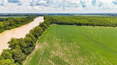 Delta Row Crop & Hunting Paradise This exceptional row crop farm - photo 32