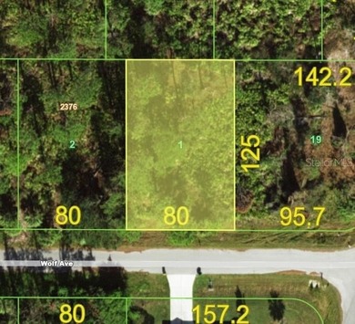 Port Charlotte Waterway Area Lot For Sale in Port Charlotte Florida