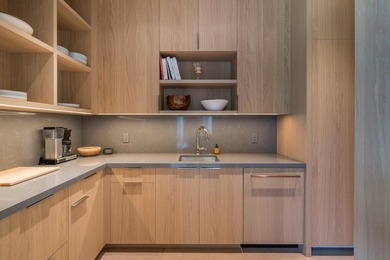 Introducing an extraordinary, newly-completed private estate - photo 11