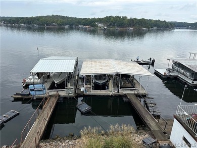 Now includes 10x35 Concrete dock and seller will consider ALL - photo 24