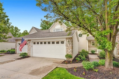 Lake Erie - Lorain County Condo Sale Pending in Lorain Ohio