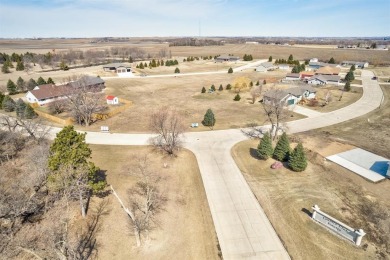 (private lake, pond, creek) Lot For Sale in Estherville Iowa