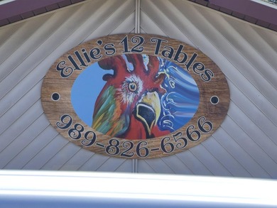Offered for sale: ''Ellie's 12 Tables,'' an owner-operated diner - photo 2