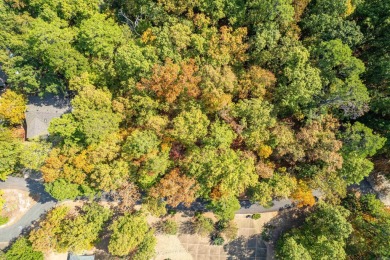 Lake Lot For Sale in Hot Springs Village, Arkansas