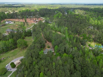 Lake Home For Sale in Appling, Georgia