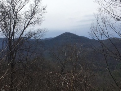 UNRESTRICTED LAND bordering the USFS! Enjoy the privacy of 143 - Lake Lot For Sale in Robbinsville, North Carolina