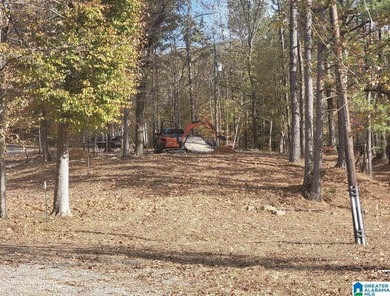 Great investment property. Two adjoining water front lots sold - photo 4